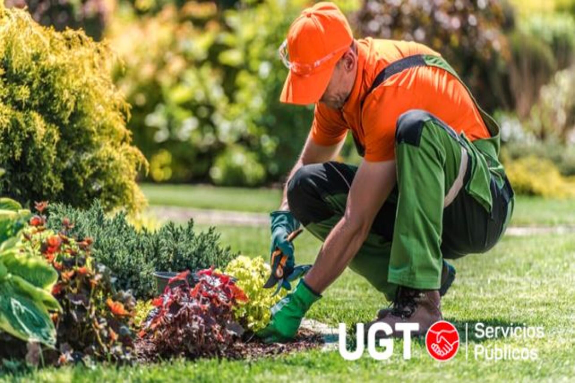 Publicado Convenio Estatal de Jardinería (2025-2030)